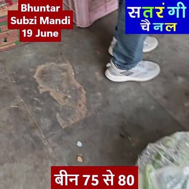भुंतर ब्ज़ी मंडी में आज दिनांक 19 जून को सब्ज़ियों और फ़लों के थोक भाव इस प्रकार रहे #shorts #viralpost
देखें वीडियो.....
Plz Subscribe Our Channel.
#bhuntarsubzimandi #takolisubzimandi #solansubzimandi #azadpursubzimandi