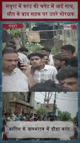 मथुरा में करंट की चपेट में आई गाय, मौत के बाद सड़क पर उतरे गोरक्षक
#Mathura #CowDeath #GauRakshak #MathuraNews