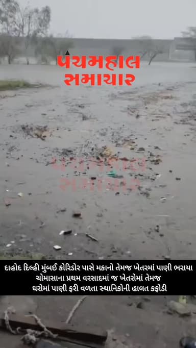 દાહોદ દિલ્હી મુંબઈ કોરિડોર પાસે મકાનો તેમજ ખેતરમાં પાણી ભરાયા ચોમાસાના પ્રથમ વરસાદમાં જ ખેતરોમાં તેમજ ઘરોમાં પાણી ફરી વળતા સ્થાનિકોની હાલત કફોડી
#panchmahalsamachar #panchmahalnews #dahod #news #topnew