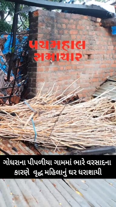 ગોધરાના પીપળીયા ગામમાં ભારે વરસાદના કારણે વૃદ્ધ મહિલાનું ઘર ધરાશાયી.
#panchmahalsamachar #panchmahalnews #godhra #panchmahal #topview
