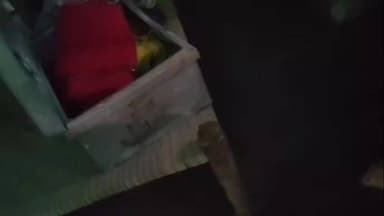बभनी में सेवानिवृत्त शिक्षक के घर से नगद व जेवर चोरी, पुलिस जांच में जुटी