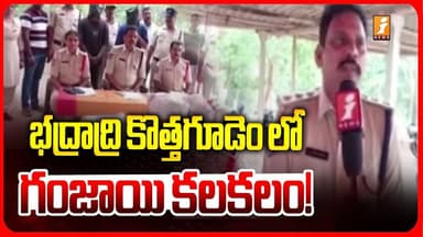 భద్రాద్రి కొత్తగూడెం లో గంజాయి కలకలం! | Ganja In Bhadradri Kothagudem District | iNews
