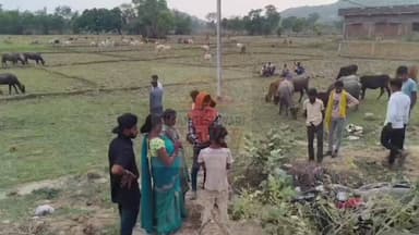 गयाजी के आमस थाना क्षेत्र अंतर्गत नारायणपुर मोड़ के समीप जीटी रोड पर बालू के जमाव से उड़ रही धूल के कारण एक बाइक अनियंत्रित होकर बिजली के पोल से टकरा गई। हादसे में बाइक सवार पश्चिम बंगाल निवासी राजकुमार साव और प्रीतम गोंड गंभीर रूप से जख्मी हो गए।
स्थानीय लोगों के अनुसार, जीटी रोड पर बालू का जमाव लगा था। गाड़ियों के लगातार आवागमन से धूल का गुबार उठ रहा था, जिससे विजिबिलिटी कम हो गई। इसी दौरान बाइक सवार धूल के कारण सड़क नहीं देख पाए और बिजली के पोल से जा टकराए।
घटना के बाद स्थानीय लोगों ने तत्परता दिखाते हुए 108 एंबुलेंस को सूचना दी। दोनों घायलों को एंबुलेंस से सामुदायिक स्वास्थ्य केंद्र, आमस में भर्ती कराया गया, जहां एक घायल की गंभीर स्थिति को देखते हुए उसे बेहतर इलाज के लिए अनुग्रह मगध मेडिकल कॉलेज गया के लिए रेफर कर दिया गया है। स्थानीय लोगों ने प्रशासन से जीटी रोड से बालू हटाने और कार्रवाई की मांग की है।
#GayaNews #Amas #RoadAccident #Bihar #UmangeshwariNews #WestBengal #sherghati #sherghaticity #gaya
