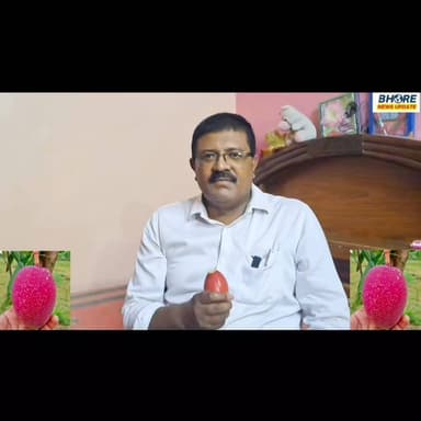 जानिए आखिर कैसा है दुनियां के सबसे महंगे मियाज़ाकी आम का स्वाद #bhorenewsupdate #viralpost2025シ #POST #bhorenews #bihar #GopalganjNews #BREAKING #reelsviralシ #reelsi̇nstagram #funnyreels #news #gopalganj #trendingreels #FIFAWorldCup2022 #FIFAWorldCup