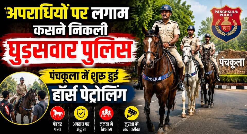 अपराधियों पर लगाम कसने निकली घुड़सवार पुलिस, पंचकूला में शुरू हुई हॉर्स पेट्रोलिंग
#PanchkulaPolice #HorsePatrolling #LawAndOrder #CrimeControl #PoliceAction #PublicSafety #HaryanaPolice #SecurityMeasures #PanchkulaNews #KhabarnamaHaryana