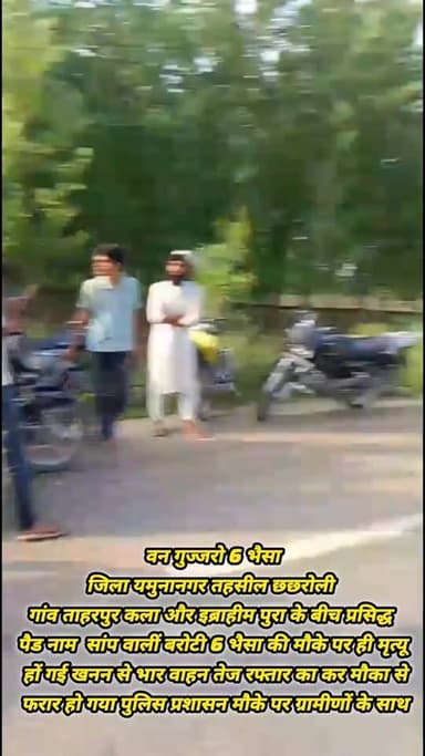 वन गुज्जरो 6 भैसा
जिला यमुनानगर तहसील छछरोली
गांव ताहरपुर कला और इब्राहीम पुरा के बीच प्रसिद्ध पैड नाम सांप वालीं बरोटी 6 भैसा की मौके पर ही मृत्यू हों गई खनन से भार वाहन तेज रफ्तार का कर मौका से फरार हो गया पुलिस प्रशासन मौके पर