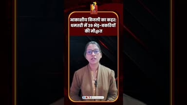 आकाशीय बिजली का कहर: धमतरी में 39 भेड़-बकरियों की मौ@त #Dhamtari #Lightning