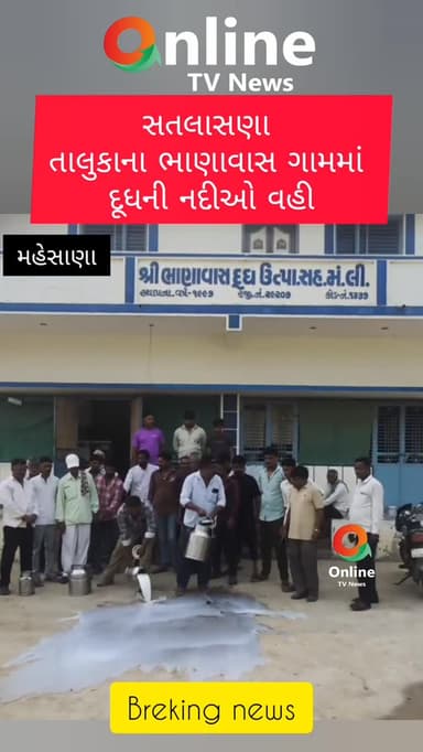 મહેસાણા જિલ્લામાં અમૂલ પાર્લરોની હોડ વચ્ચે હવે દૂધ મંડળીઓના વિવાદોની ચર્ચા તેજ...
સતલાસણાના ભીમપુર અને વડનગર તાલુકાના સબલપુર દૂધ મંડળીના વિવાદોની ચર્ચા હજુ શમી નથી, ત્યાં સતલાસણા તાલુકાના ભાણવાસ ગામમાં પણ દૂધ ડેરીને લઈને વિવાદ સામે આવ્યો છે. વિરોધ સ્વરૂપે કેટલાક પશુપાલકોએ દૂધ રસ્તા પર ઢોળી પોતાનો રોષ વ્યક્ત કર્યો, જેના કારણે સમગ્ર વિસ્તારની આ ઘટના ચર્ચાનો વિષય બની છે.
સતલાસણા તાલુકાના ભાણવાસ ગામના કેટલાક પશુપાલકોનો આક્ષેપ છે કે સ્થાનિક દૂધ ડેરી છેલ્લા ચાર દિવસથી તેમનું રોજનું અંદાજે 300થી 400 લીટર દૂધ સ્વીકારી રહી નથી. જેના કારણે પશુપાલકોને ખાનગી વાહનની વ્યવસ્થા કરીને અન્ય જગ્યાએ દૂધ મોકલવાની ફરજ પડી હોવાનું તેઓ કહે છે.
પશુપાલકોનો વધુમાં આક્ષેપ છે કે છેલ્લા ઘણા વર્ષોથી ડેરીના સંચાલનમાં ફેરફાર થયો નથી અને નિયમિત ચૂંટણી કે વહીવટી પ્રક્રિયા અંગે પણ પ્રશ્નો ઊભા થયા છે. તેઓનું કહેવું છે કે આ મુદ્દે રજૂઆત કરવા છતાં યોગ્ય જવાબ મળ્ય