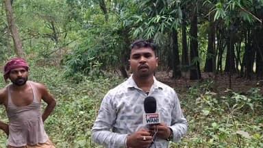 दर्दनाक हादसा 😢 ताड़ का फल तोड़ने पेड़ पर चढ़े मनटुन पासवान करीब 50 फीट ऊंचाई से नीचे गिर गए, जिससे उनकी मौके पर ही मौत हो गई।
अपने पीछे 5 छोटे बच्चों और परिवार को छोड़ गए। एक पल में पूरे परिवार की खुशियां मातम में बदल गईं।
#BreakingNews #AccidentNews #BiharNews #MuntunPaswan #SadNews #ViralNews #LocalNews #RIP #TragicAccident