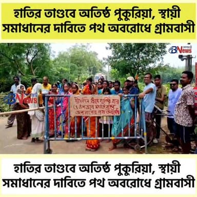 হাতির তাণ্ডবে অতিষ্ঠ পুকুরিয়া, স্থায়ী সমাধানের দাবিতে পথ অবরোধে গ্রামবাসী
#Jhargram #ElephantConflict #RoadBlockade #WildlifeManagement #LocalProtest #belpaharinews