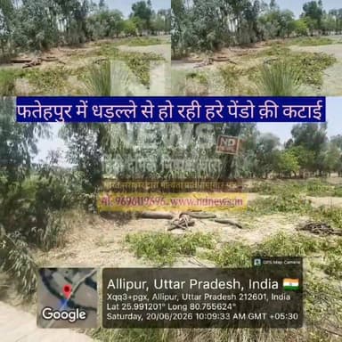 अल्लीपुर-आदमपुर मार्ग पर नीम के पेड़ों की कटान से मचा बवाल
वायरल वीडियो में लकड़ी माफियाओं और विभागीय मिलीभगत के आरोप
पर्यावरण संरक्षण पर उठे सवाल, ग्रामीणों ने डीएम से की कार्रवाई की मांग
✒️रिपोर्ट अजय श्रीवास्तव/नागेंद्र पांडये
फतेहपुर। उत्तर प्रदेश के फतेहपुर जिले के मलवा थाना क्षेत्र स्थित अल्लीपुर-आदमपुर संपर्क मार्ग पर कथित रूप से कई हरे नीम के पेड़ों की कटाई का मामला सामने आया है। सोशल मीडिया पर वायरल हो रहे एक वीडियो के बाद पर्यावरण संरक्षण और वन विभाग की कार्यप्रणाली को लेकर सवाल उठने लगे हैं। स्थानीय लोगों का आरोप है कि लगभग 8 से 10 नीम के पेड़ों को काट दिया गया है, जबकि मामले में विभागीय अधिकारियों की भूमिका को लेकर भी चर्चाएं तेज हैं। हालांकि आरोपों की आधिकारिक पुष्टि संबंधित जांच के बाद ही हो सकेगी।
फतेहपुर जिले के मलवा थाना क्षेत्र के अल्लीपुर-आदमपुर संपर्क मार्ग पर नाले के किनारे खड़े नीम के पेड़ों की कटाई का मामला चर्चा का विषय बना हुआ है। सोशल मीडिया पर वायरल हुए जीपीएस वीडियो में दावा किया जा रहा है कि क्षेत्र में लगभग 8 से 10 हरे नीम के पेड़ों को काट दिया गया है।
स्थानीय ग्रामीणों और पर्यावरण प्रेमियों का आरोप है कि क्षेत्र में सक्रिय लकड़ी माफिया हरे-भरे वृक्षों को काटकर हरियाली समाप्त करने में लगे हुए हैं। वायरल वीडियो में कुछ लोगों द्वारा वन विभाग के अधिकारियों पर भी गंभीर आरोप लगाए गए हैं। आरोप है कि कथित मिलीभगत के कारण प्रतिबंधित या संरक्षित वृक्षों की कटान हो रही है।
ग्रामीणों का कहना है कि कोरोना महामारी के दौरान ऑक्सीजन की कमी ने पूरे देश को झकझोर दिया था। उस समय पेड़-पौधों और पर्यावरण संरक्षण के महत्व को सभी ने समझा था, लेकिन अब फिर से वृक्षों की अंधाधुंध कटाई की घटनाएं सामने आ रही हैं।
क्षेत्रीय लोगों का कहना है कि सरकार लगातार वृक्षारोपण अभियान चला रही है और पर्यावरण संरक्षण पर करोड़ों रुपये खर्च किए जा रहे हैं। इसके बावजूद यदि हरे वृक्षों की अवैध कटाई होती है तो यह सरकारी प्रयासों को कमजोर करने जैसा है।
वायरल वीडियो के बाद लोगों ने जिलाधिकारी और वन विभाग से मामले की निष्पक्ष जांच कराने की मांग की है। ग्रामीणों का कहना है कि यदि दोषी पाए जाएं तो संबंधित ठेकेदारों और जिम्मेदार अधिकारियों के खिलाफ कड़ी कार्रवाई की जाए ताकि भविष्य में ऐसी घटनाओं पर रोक लग सके।
पर्यावरण विशेषज्ञों का भी मानना है कि एक परिपक्व नीम का वृक्ष वर्षों में तैयार होता है और उसकी कटाई केवल एक पेड़ का नुकसान नहीं बल्कि पर्यावरणीय संतुलन को भी प्रभावित करती है।
फिलहाल सोशल मीडिया पर वायरल वीडियो और स्थानीय लोगों द्वारा लगाए गए आरोपों ने प्रशासन का ध्यान इस ओर खींचा है। अब देखना होगा कि वन विभाग और जिला प्रशासन मामले की जांच में क्या निष्कर्ष निकालते हैं। यदि आरोप सही पाए जाते हैं तो यह केवल वृक्षों की कटाई का मामला नहीं होगा, बल्कि पर्यावरण संरक्षण से जुड़े नियमों के प्रभावी क्रियान्वयन की भी परीक्षा होगी।
🟥 ND NEWS की जनहित अपील
ND NEWS एवं दैनिक निष्पक्ष धारा पर्यावरण संरक्षण को समाज की सामूहिक जिम्मेदारी मानता है। प्रत्येक नागरिक का कर्तव्य है कि वह वृक्षों की सुरक्षा करे और अवैध कटान की सूचना तुरंत प्रशासन को दे।
पेड़ केवल लकड़ी नहीं, आने वाली पीढ़ियों का जीवन हैं।
👇👇👇
@dgpup
@RSSorg
@UPGovt
@wpl1090
@RSSgeet
@Uppolice
@MIB_India
@PMOIndia
@HMOIndia
@abmanglik
@VHPDigital
@igrangealld
@myogioffice
@InfoDeptUP
@dmfatehpur
@sdmsadarftp
@CMOfficeUP
@CMOUP_RC
@UPPRD1948
@ChiefSecyUP
@ChiefSecyUP
@MahantYogiG
@FatehpurSdm
@fatehpurpolice
@BajrangDalOrg
@112UttarPradesh
@myogiadityanath
@CommissionerPrg
@ADGZonPrayagraj
@ForbesIndia
@ForMenIndia_
@Forbes_Indiav
👇👇
#NDNews #दैनिकनिष्पक्षधारा #Fatehpur #Malwa #Allipur #Environment #SaveTrees #NeemTree #GreenIndia #ForestDepartment #IllegalTreeCutting #UPNews #BreakingNews #NDNewsChannel #FatehpurPolice #DMFatehpur #UPForest #EnvironmentalProtection
🟥 ND NEWS | दैनिक निष्पक्ष धारा
मुख्य संपादक / संस्थापक: राजन सिंह हाड़ा
सह-संपादक: शालिनी सिंह भदौरिया
📍 कार्यालय-3: U158, हीरा स्वीट्स के पास, विकास मार्ग, लक्ष्मी नगर, पूर्वी दिल्ली, पिन कोड – 110092 (NCR)
📍 कार्यालय-2: विधानसभा रोड, बर्लिंगटन चौराहा, लखनऊ – 226001 (UP)
📍 कार्यालय-1: 1/1 अटल बिहारी चौराहा, नियर बर्मा चौराहा, फतेहपुर – 212601 (UP)
📅 दिनांक: 20 जून 2026
📆 दिन: शनिवार
📧 Email: ndnewschannel@gmail.com
📞 मोबाइल: 9696119696