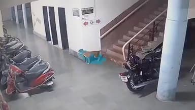 🐆 IIT Bombay के अंदर Leopard का आतंक! 😳
स्टाफ हॉस्टल एरिया में कुत्ते का शिकार... पूरी घटना CCTV में कैद।
सोचिए, अगर उस वक्त वहां कोई इंसान होता! 😨
जंगली जानवरों का आबादी वाले क्षेत्रों के करीब पहुंचना मानव-वन्यजीव संघर्ष की बढ़ती चुनौती की ओर भी संकेत करता है।
⚠️ ऐसे मामलों में अफवाहों से बचें और केवल आधिकारिक निर्देशों का पालन करें।
#IITBombay #Leopard #Mumbai #Wildlife #CCTV #BreakingNews #MumbaiNews #AnimalAlert #ForestDepartment #ViralVideo #IndiaNews #TrendingNews