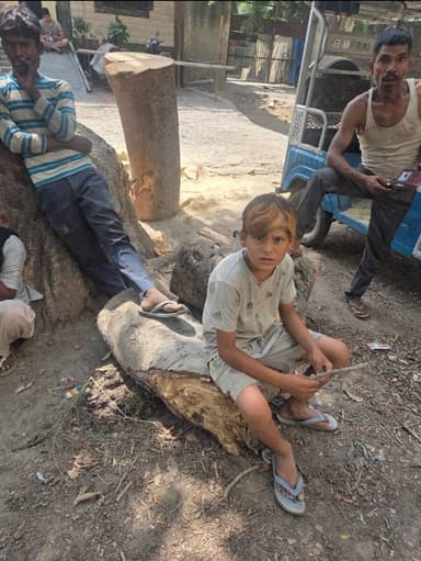 गाजियाबाद-थाना अंकुर विहार क्षेत्र अंतर्गत शरद सिटी कॉलोनी में पानी की टंकी के पास सार्वजनिक जगह पर खड़ा हुआ बरसों पुराना हरा भरा बरगद का पेड़ काटा।आखिर किसके कहने पर काटा गया बरसों पुराना बरगद का पेड़।पेड़ काटने से स्थानीय लोगों में आक्रोश।@ghaziabadpolice @upfcup @dm_ghaziabad https://t.co/QACHO6MPvc