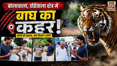 बालावाला डोईवाला क्षेत्र में बाघ का कहर! स्थानीय लोगों के जानवर उठा कर ले जा रहे बाघ।
#Balawala #doiwala #TigerAttack #forestdepartmentuttarakhand #uttarakhand