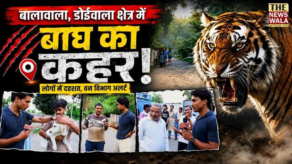 बालावाला डोईवाला क्षेत्र में बाघ का कहर! स्थानीय लोगों के जानवर उठा कर ले जा रहे बाघ।
#Balawala #doiwala #TigerAttack #forestdepartmentuttarakhand #uttarakhand
