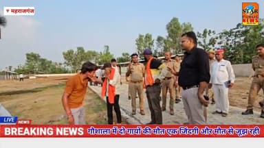 #starpublicnews गौशाला में दो गायों की मौत एक जिंदगी और मौत से जूझ रही,भड़के बजरंग दल के कार्यकर्ता