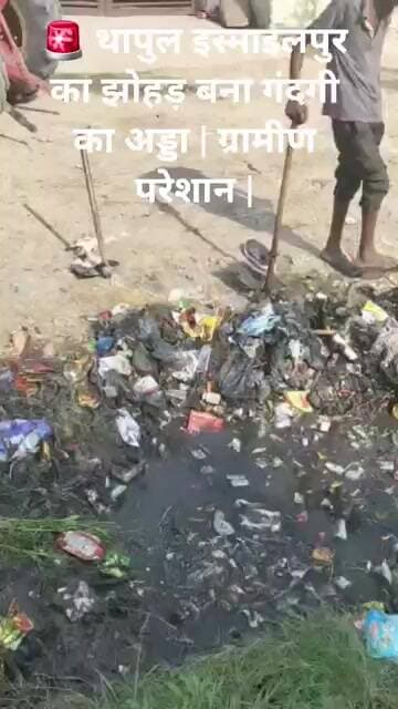🚨 थापुल इस्माइलपुर का झोहड़ बना गंदगी का अड्डा | ग्रामीण परेशान | सहारनपुर न्यूज़