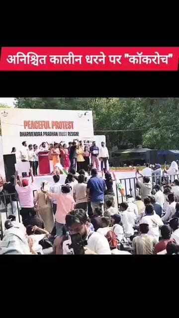 🪳 धर्मेंद्र प्रधान के इस्तीफे तक - जंतर मंतर पर रुकेंगे कॉकरोच 🪳 #cjp #cockroach #delhi #bjp