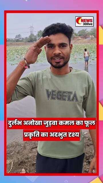 दुर्लभ अनोखा जुड़वा कमल का फूल, प्रकृति अदभुत दृश्य, सीपत के पास ग्राम धनिया के तालाब का नाजारा है
