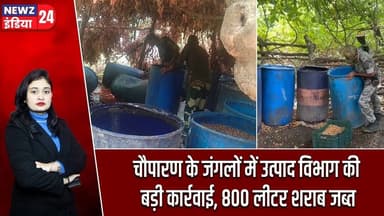 चौपारण के जंगलों में उत्पाद विभाग की बड़ी कार्रवाई, 800 लीटर शराब जब्त | #Chauparan | HazaribaghNews