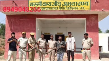 🐍🧘♂️ योग दिवस पर ‘अजगर आसन’, बस्सी वन विभाग चित्तौड़गढ़ टीम ने 10 फीट लंबे इंडियन रॉक पाइथन का किया सफल रेस्क्यू