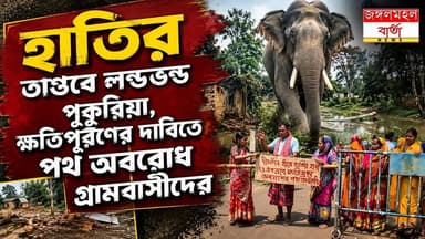 পাকা আম-কাঁঠালের টানে পুকুরিয়ায় হাতির হানা, তছনছ একাধিক বাড়িঘর; পথ অবরোধ গ্রামবাসীদের |
#Jhargram #WestBengal #jungalmahalbarta