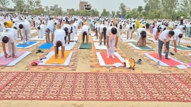 योग की शक्ति से स्वस्थ भारत का संकल्प, जालौन में 9 लाख लोगों ने किया सामूहिक योगाभ्यास
प्रधानमंत्री के वैश्विक योग संदेश और मुख्यमंत्री के स्वस्थ उत्तर प्रदेश संकल्प को जालौन ने जनभागीदारी से दिया नया आयाम