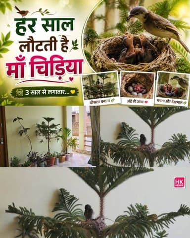 3 साल से लगातार एक ही जगह लौट रही है ये चिड़िया | प्रकृति का अद्भुत नजारा
अगर वीडियो पसंद आए तो Like, Share और Subscribe जरूर करें।
#BirdNest #MotherBird #Nature #Birds #Wildlife #NatureLovers #BirdStory #HKNews #Prakriti #NatureBeauty #BirdLife #ViralVideo #IndiaNature #CuteBirds #NestingBirds Collector Office Seoni Rajneesh Harvansh Singh किसान सत्याग्रह HK News Dinesh Rai Munmun