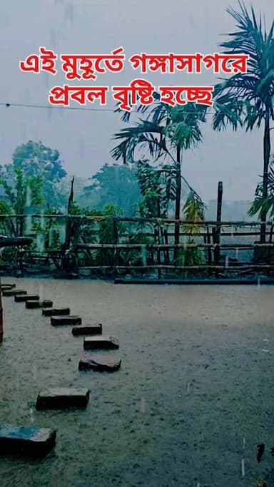 এই মুহূর্তে সমগ্র গঙ্গাসাগর জুড়ে প্রবল বৃষ্টি হচ্ছে।।
#gangasagar #sagardwip #rain #watherupdate #reel #reels #rainday
গঙ্গাসাগর বেলাভূমি.com