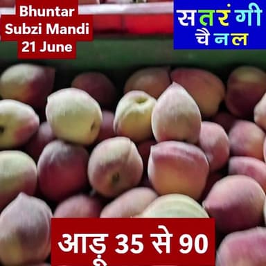 भुंतर सब्ज़ी मंडी में आज दिनांक 21 जून को फ़लों के थोक भाव इस प्रकार रहे | देखें वीडियो और हमारे चैनल को सब्सक्राइब करना न भूलें...
#bhuntarsubzimandi #solansubzimandi #takolisubzimandi #azadpursubzimandi