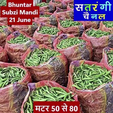 भुंतर सब्ज़ी मंडी में आज दिनांक 21 जून को सब्ज़ियों के थोक भाव इस प्रकार रहे | देखें वीडियो और हमारे चैनल को सब्सक्राइब करना न भूलें...
#bhuntarsubzimandi #solansubzimandi #takolisubzimandi #azadpursubzimandi