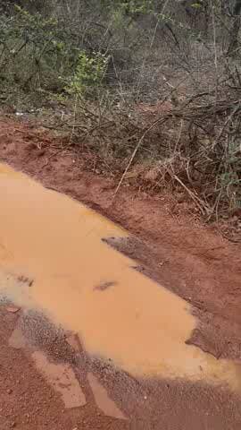 my vijay adiwasi gram tikariya jila Panna Madhya gram panchayat padvar tahsil pawai sadak jaldi banbaya jaya 20 sal ishi