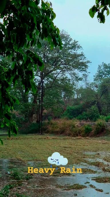 Heavy Rain 🌧 Fall In Purunakatak
#heavyrainfall☔️ #purunakatak #rainfall #rain #mostpopularvideo