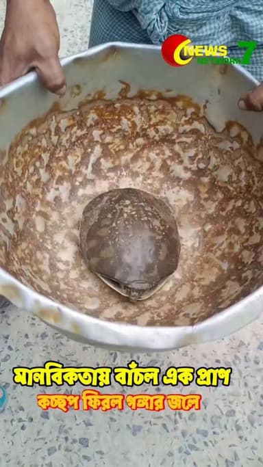 গঙ্গা ছেড়ে ডাঙায়, ডাঙা থেকে আবার গঙ্গায়। কাশিগঞ্জ ঘাটে সচেতনতার অনন্য দৃষ্টান্ত।
#NewsNetwork7 #Katwa #TurtleRescue #IndianFlapshellTurtle #WildlifeConservation #SaveWildlife #NatureLovers #WestBengalNews #HumanityFirst #EnvironmentProtection #NN7