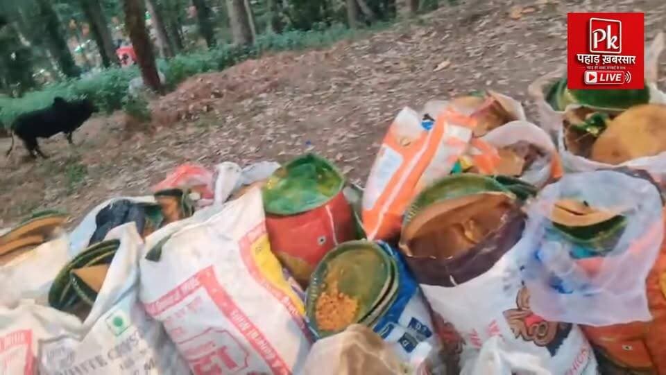 🌿 #कंडोलिया ठाकुर मंदिर भंडारे के बाद स्वच्छता का संदेश 🌿
पौड़ी के प्रसिद्ध #कंडोलिया ठाकुर मंदिर में वार्षिक भंडारे के सफल आयोजन के बाद पुष्प वाटिका पौड़ी ने सराहनीय पहल करते हुए परिसर और आसपास फैली हजारों डिस्पोजल प्लेटों व अन्य कचरे को एकत्रित किया। संस्था की अध्यक्ष #बीरा भंडारी एवं उनकी टीम की सदस्य हर्षि देवी, अंजली देवी, रेवती देवी, मंजू देवी और दुर्गी देवी ने सफाई अभियान चलाकर स्वच्छता का उदाहरण पेश किया।
पुष्प वाटिका पौड़ी लगातार सफाई के साथ उन स्थानों को भी संवार रही है, जहां पहले झाड़-झंखाड़ और कूड़ा फैला रहता था। सेवा, स्वच्छता और पर्यावरण संरक्षण की यह पहल लोगों के लिए प्रेरणा बन रही है। 🌸♻️ #Pauri #KandoliyaTemple #SwachhPauri #PushpVatikaPauri