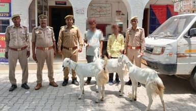 #Goodwork
#Etawahpolice द्वारा बकरी चोरी की घटना का सफल अनावरण, 02 अभियुक्त गिरफ्तार।
कब्जे से चोरी की 03 बकरियां, घटना में प्रयुक्त लोडर वाहन एवं 01 तमंचा, 02 जिंदा कारतूस 315 बोर बरामद।
SSP इटावा के निर्देशन में थाना सहसों पुलिस द्वारा की गयी कार्यवाही । https://t.co/9PLP7mzDNE