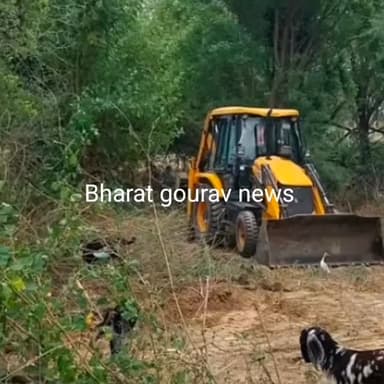 महेंद्रगढ़ में बिना अनुमति काटे दर्जनों पेड़:
पंचायती भूमि पर खड़े थे, 80 साल पुराना पक्षियों का आशियाना उजड़ा, रेंजर बोले- होगी कार्रवाई
#tree #sarpanch #Bharat #ranger #police