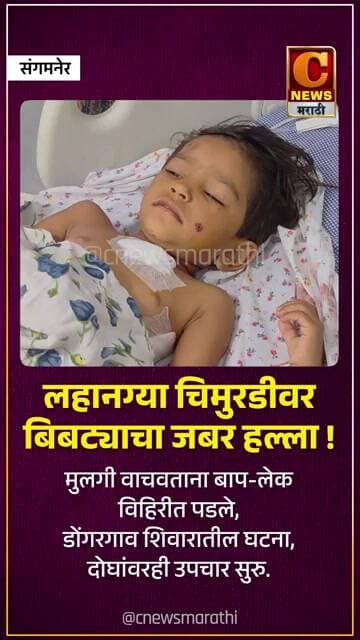 संगमनेर - लहानग्या चिमुरडीवर बिबट्याचा जबर हल्ला !