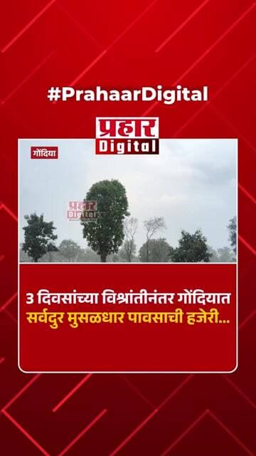 3 दिवसांच्या विश्रांतीनंतर गोंदियात सर्वदुर मुसळधार पावसाची हजेरी...