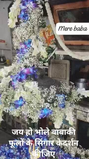 जय भोले बाबा की फूलों के आकर्षक झांकी के दर्शन कीजिए