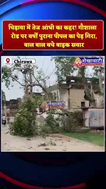 #चिड़ावा में तेज आंधी का कहर! गौशाला रोड पर वर्षों पुराना पीपल का पेड़ गिरा, बाल बाल बचे बाइक सवार