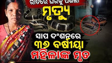 ବଙ୍ଗୋମୁଣ୍ଡାର ଯାନୀପଡାରେ ଅଘଟଣ: ନିଦ୍ରାରେ ଚିତ୍ତି ସାପର ଚୋଟରେ ଚାଲିଗଲା ୩୬ ବର୍ଷୀୟା ମହିଳାଙ୍କ ଜୀବନ