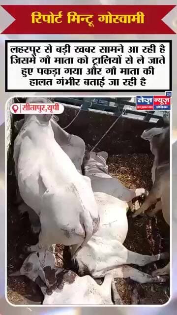 लहरपुर से बड़ी खबर सामने आ रही है जिसमें गौ माता को ट्रालियों से ले जाते हुए पकड़ा गया और गौ माता की