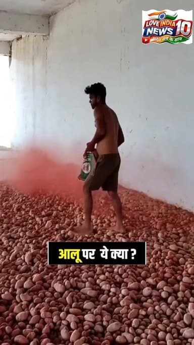 जमीन में आलू डाल कर केमिकल का छिड़काव, वीडियो वायरल
#viral #reelsviralシ #potato #shorts
