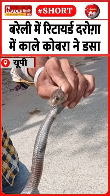 वो समझे बर्र ने काटा, फिर दिखा सांप | 22 June 2026 #bareilly #snake #snakebite #retiredofficer #animal #shorts