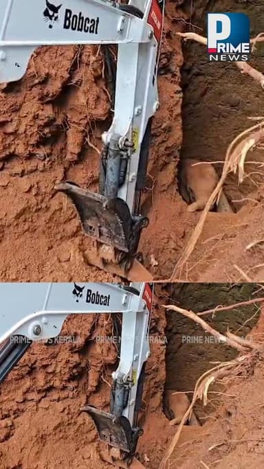 കോന്നിയിൽ കിണറ്റിൽ വീണ കുട്ടിയാന ഹാപ്പിയാണ്! കിണറ്റില് നിന്ന് പുറത്തേക്ക് എത്തിച്ചത് ഇങ്ങനെ|PRIME NEWS KERALA
