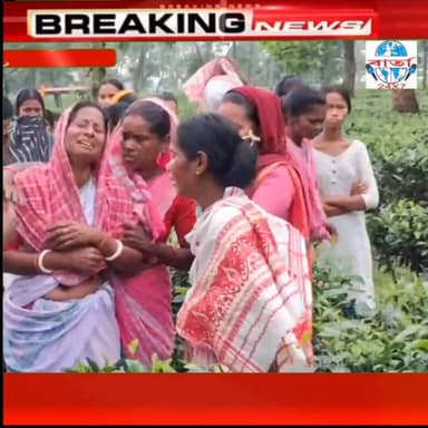 বিশ্বনাথৰ সাকোমঠা চাহ বাগিছাত কৰুণ ঘটনা। একেডাল পঘাতে চিপ লৈ ন - দম্পতীৰ আত্মহনন।
#public #friends #news #viral #reels #everyone #facebook #police #biswnath #highlights