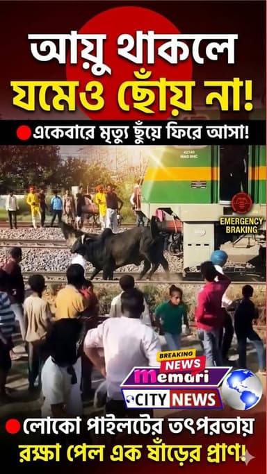 "আয়ু থাকলে যমেও ছোঁয় না!
🔴একেবারে মৃত্যু ছুঁয়ে ফিরে আসা!
🔴লোকো পাইলটের তৎপরতায় রক্ষা পেল এক ষাঁড়ের প্রাণ
#memaricity #মেমারি #দেবীপুর #public #debipur #memari #PurbaBardhaman #Jamalpur #Rasulpur #vairalvideo