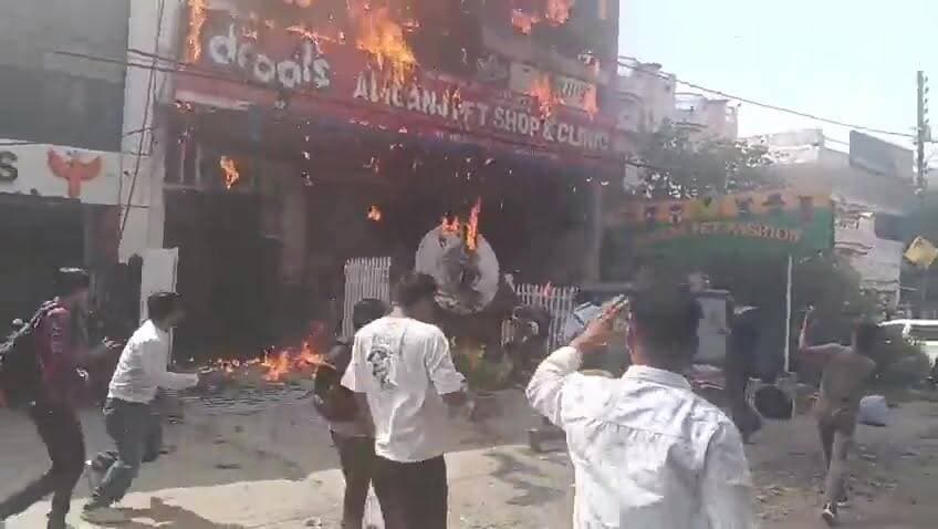 #लखनऊ के #कोचिंग सेंटर में लगी #आग के बीच #जान बचाने के लिए #बिल्डिंग से #कूदते नजर आए #बच्चे..
#todaymirzapur
#मिर्जापुर #innews
#lucknow #upnews