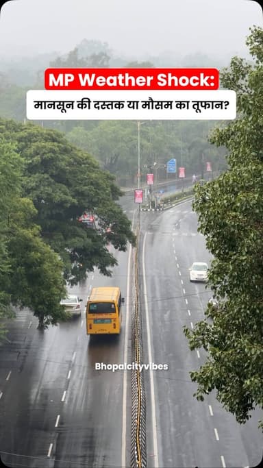 मध्य प्रदेश में मौसम का मिज़ाज लगातार बदल रहा है 🌧️⚡
कहीं तेज बारिश, कहीं आंधी और कुछ जिलों में अभी भी गर्मी और लू का असर बना हुआ है।
IMD ने कई इलाकों में अगले घंटों तक बारिश और तेज हवाओं का अलर्ट जारी किया है।
#MPWeather #BhopalNews #RainAlert #IMDAlert #WeatherUpdate